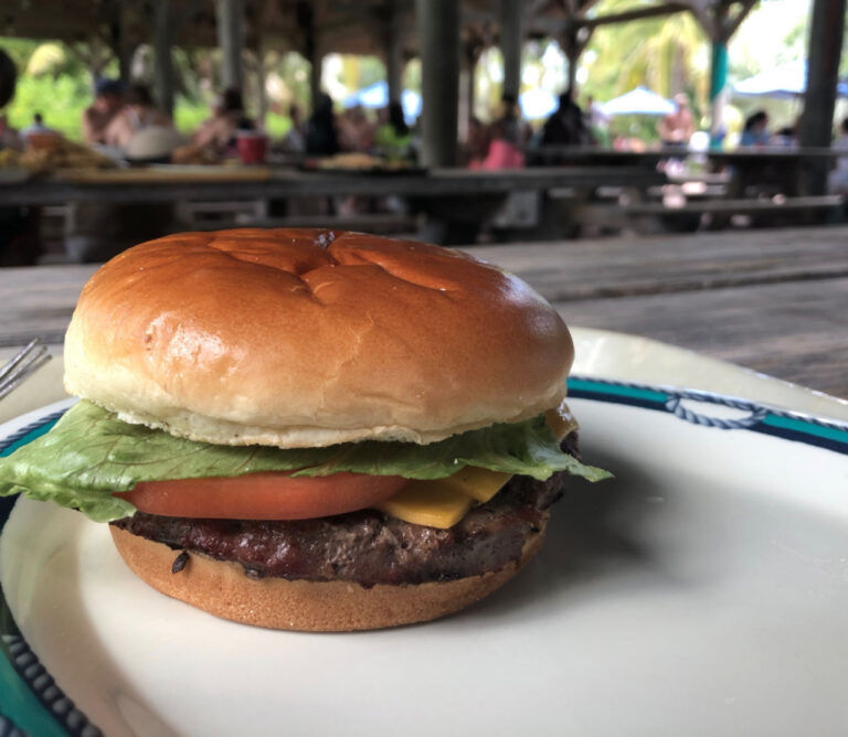 cheeseburger in paradise